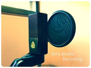 sora recording